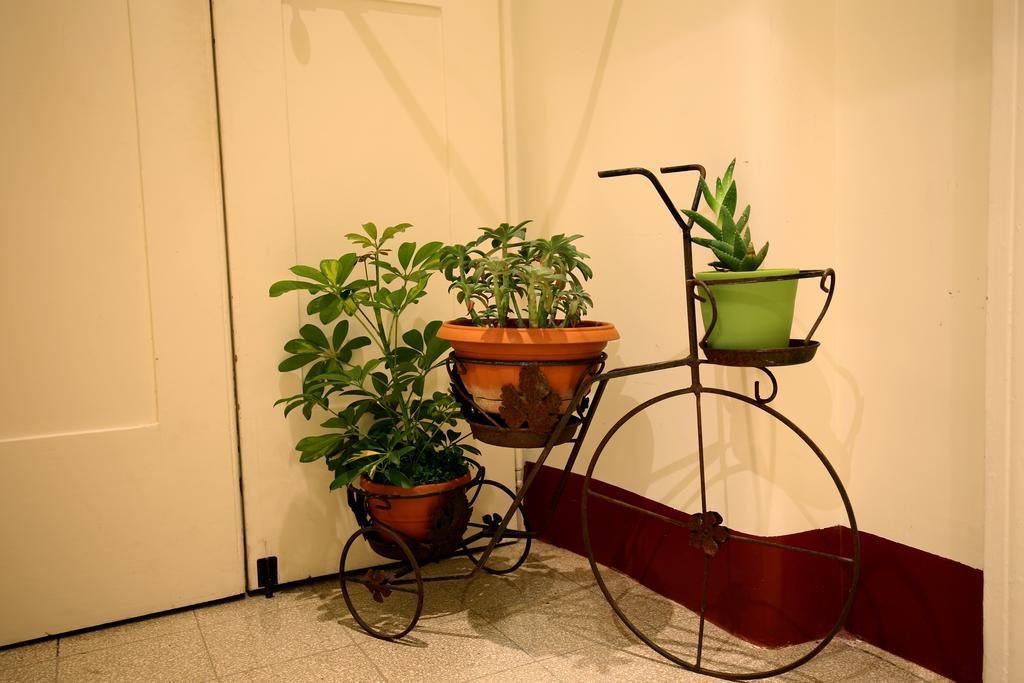 Giulietta Al Colosseo B&B Rom Rum bild